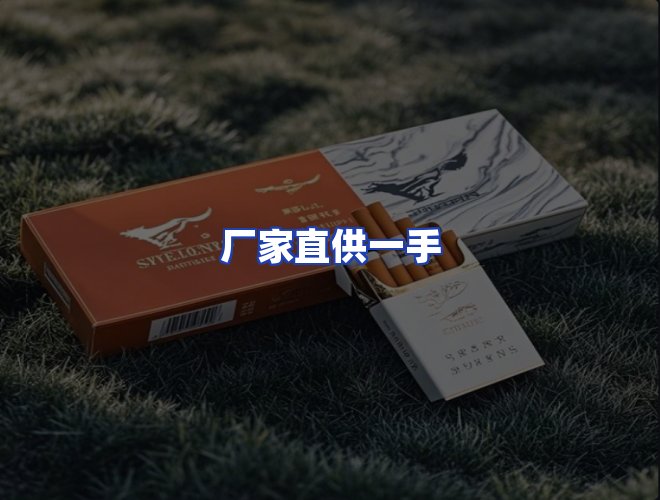 专业团队